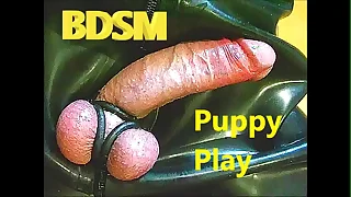 44524 gay porn videos